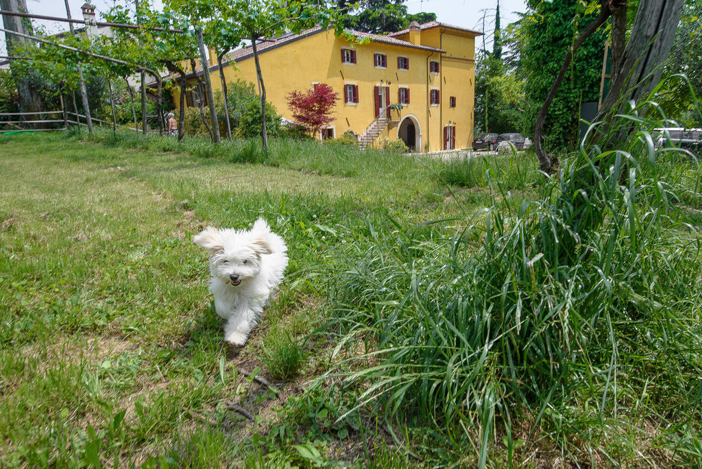 B&B Corte Jago Negrar Εξωτερικό φωτογραφία